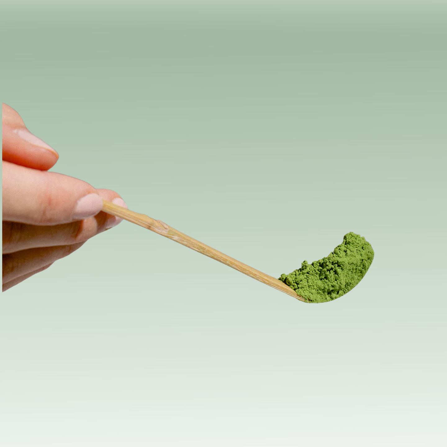 Chashaku Spoon